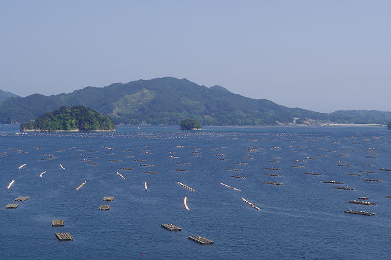 山田湾の写真