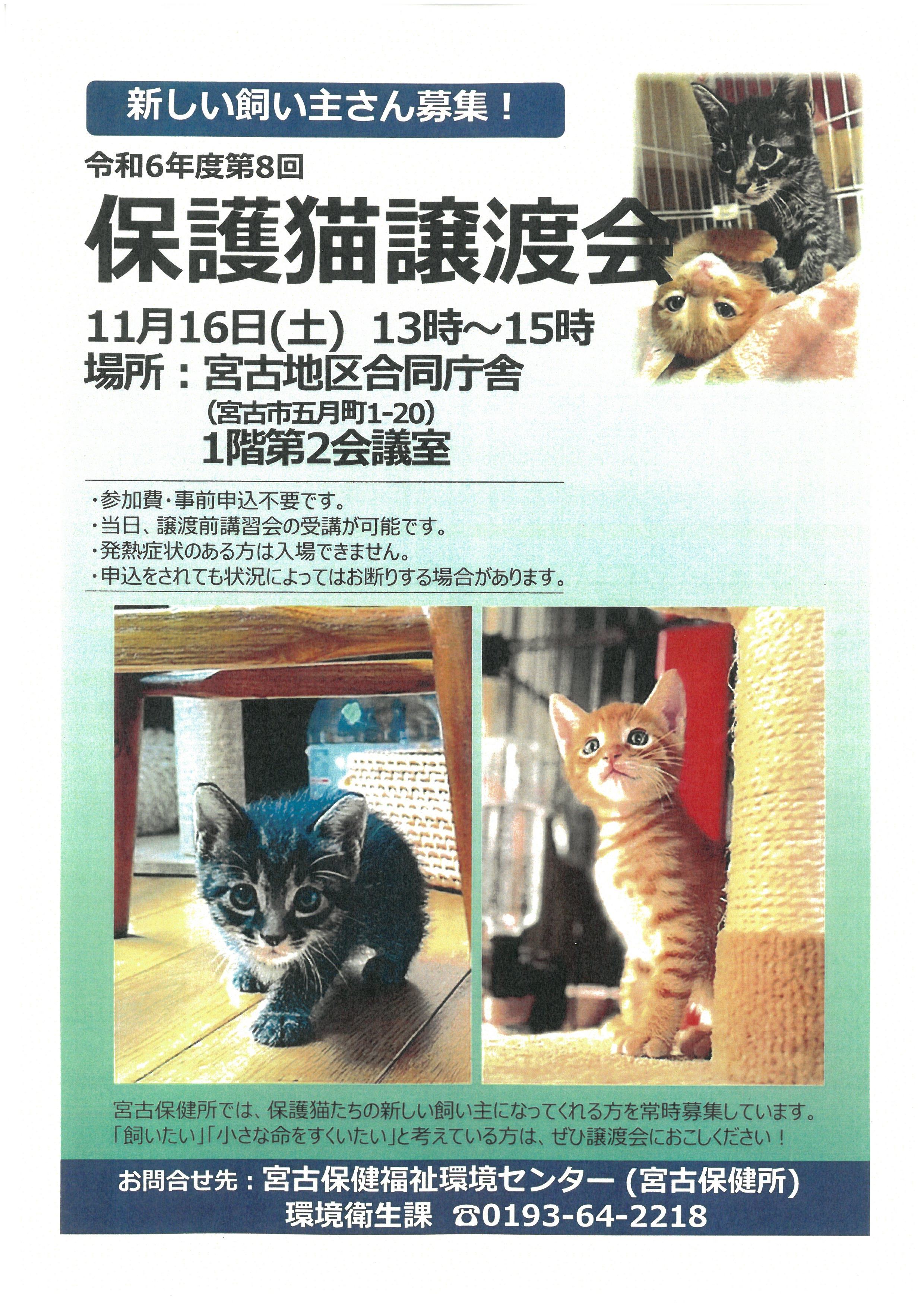 hogonekomiyako20241116.jpg