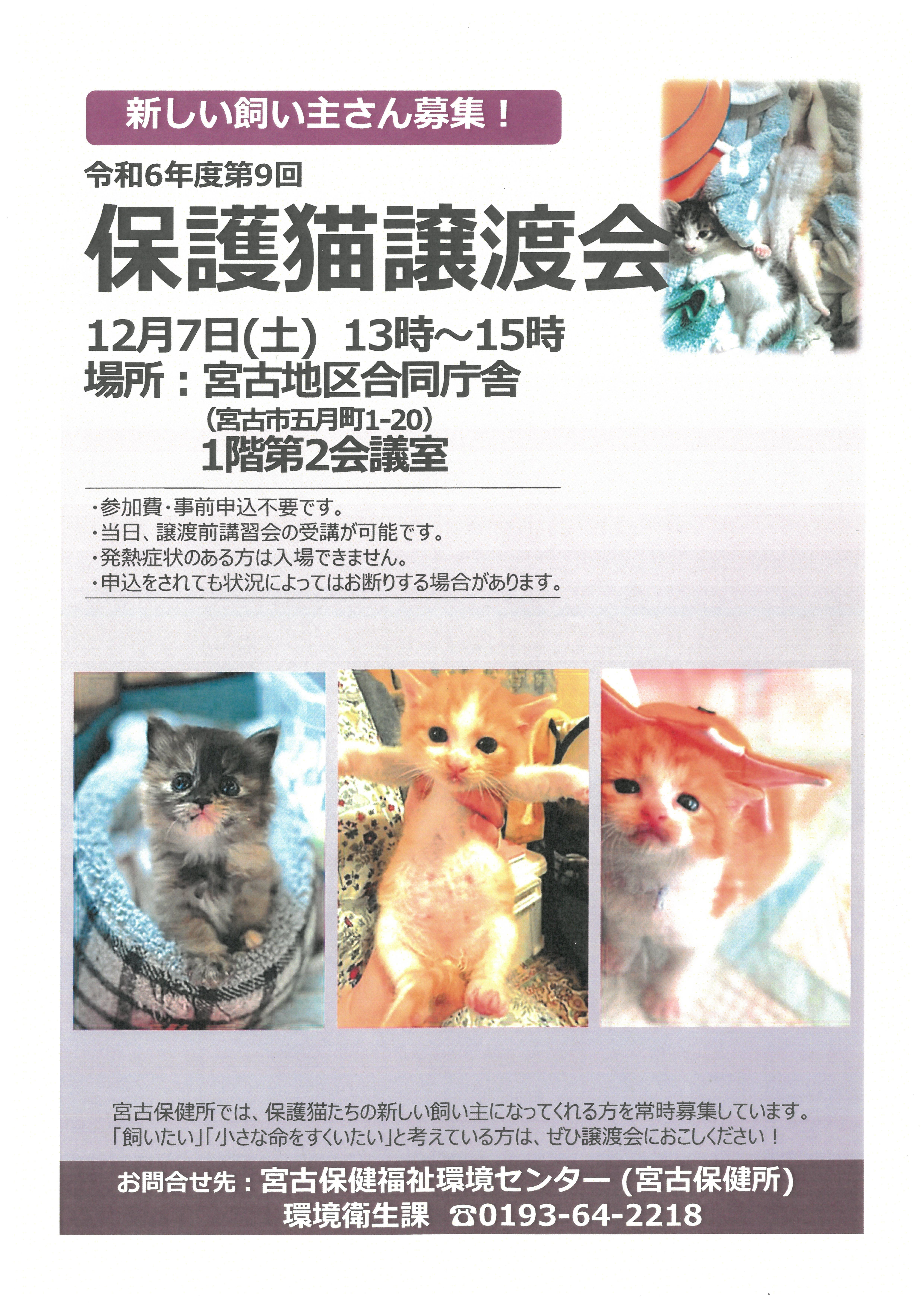 令和6年度第9回保護猫譲渡会ポスター