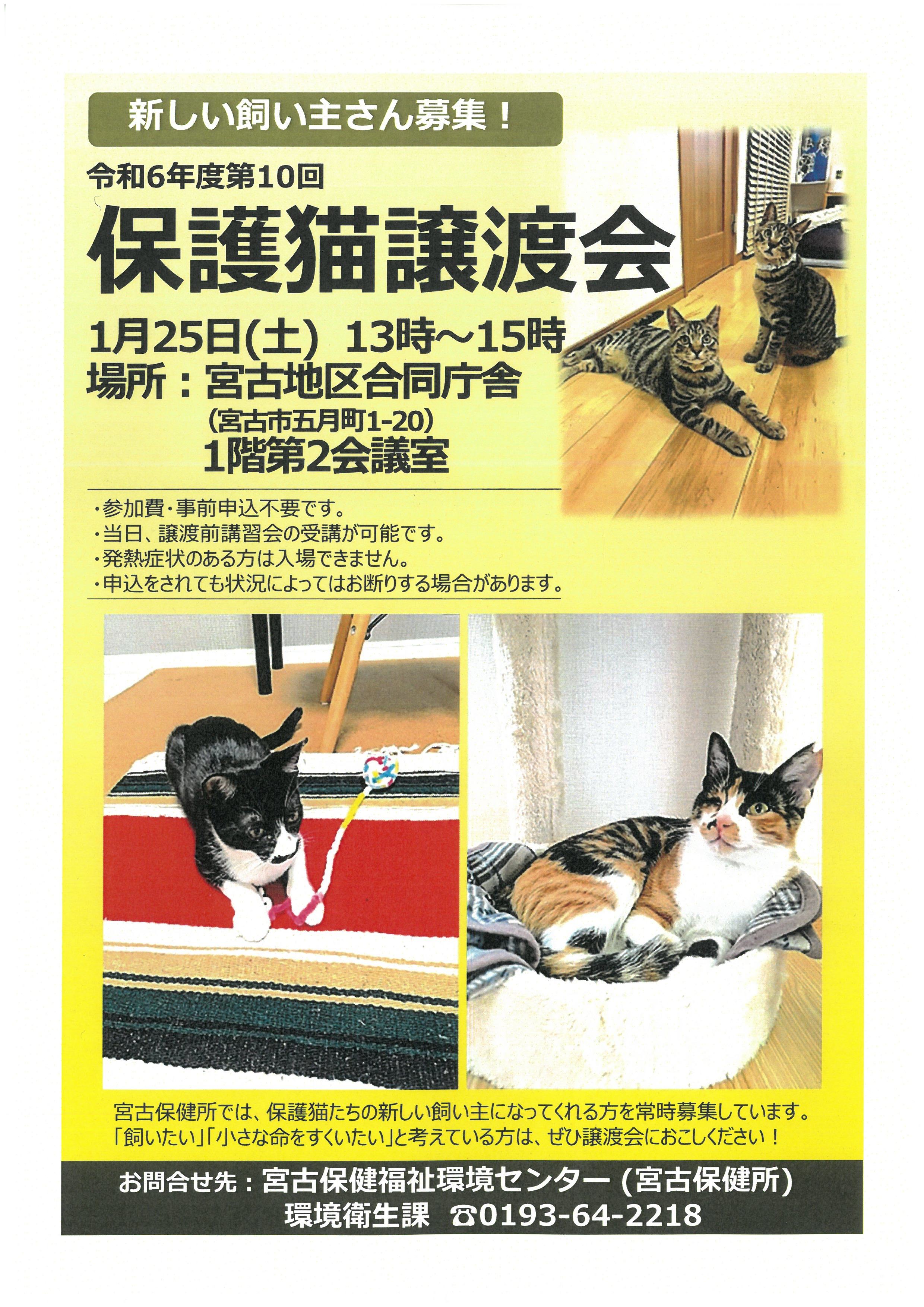 保護猫譲渡会のポスター