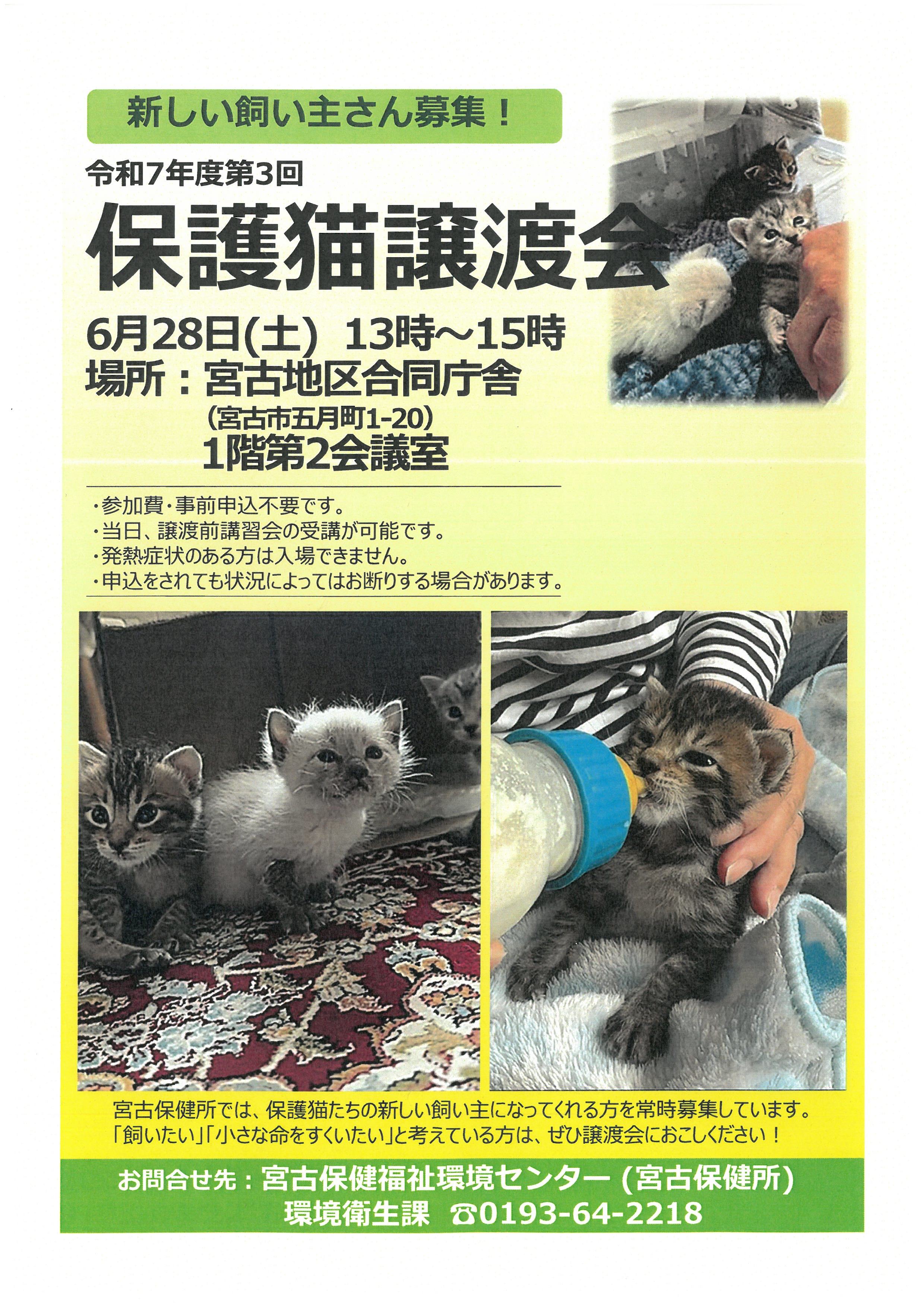 宮古保健所で開催される保護猫譲渡会のポスター