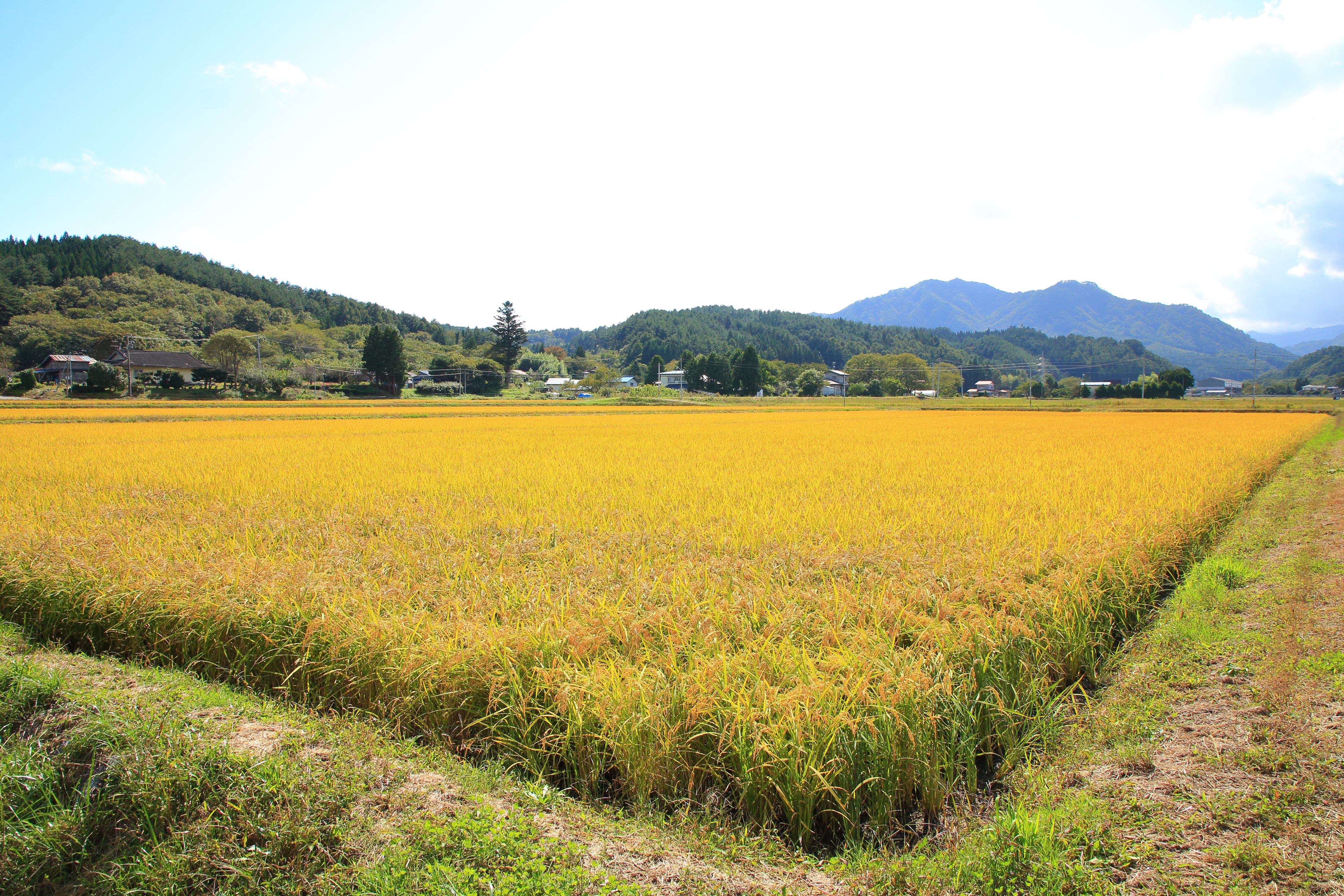 豊間根の風景IMG_0210.jpg